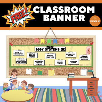 Body Systems II - FREE Classroom Banner